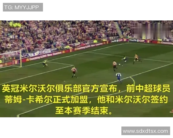 世界杯星光璀璨:探索球场上的传奇人物与背后的故事