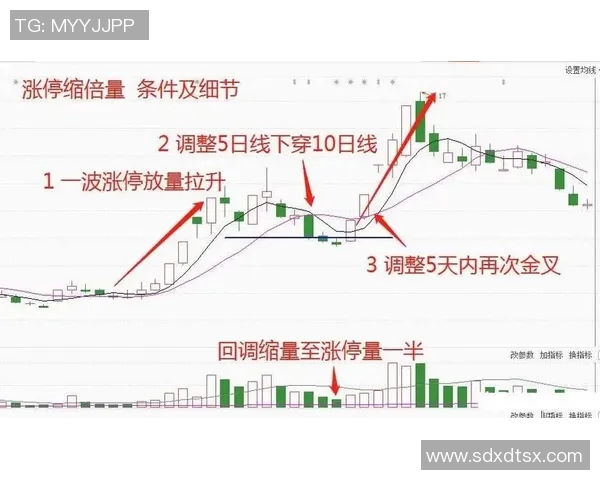 同花顺助力投资者精准决策全面解析股票市场走势与投资策略