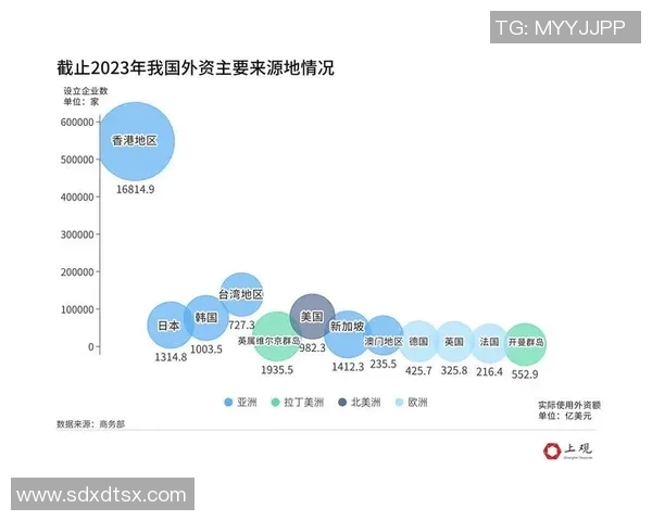 联合新闻网专访：聚焦全球经济新动向与科技创新未来趋势