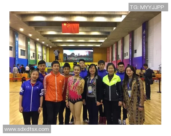 北京篮球队的团队协作与战术配合分析探讨