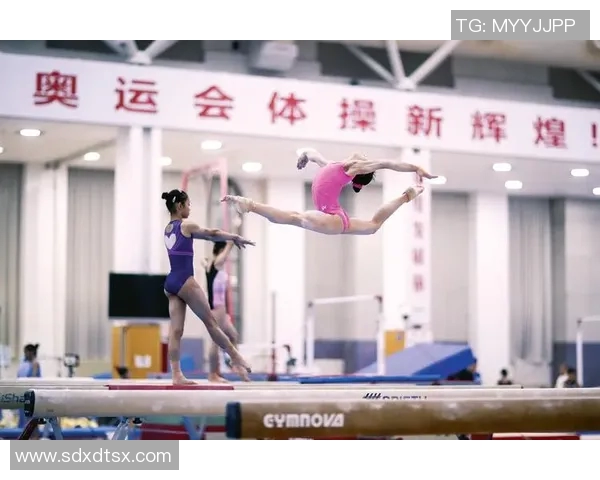 竞技体操成绩分析与提升策略探索：全面解读体操运动员表现的关键因素
